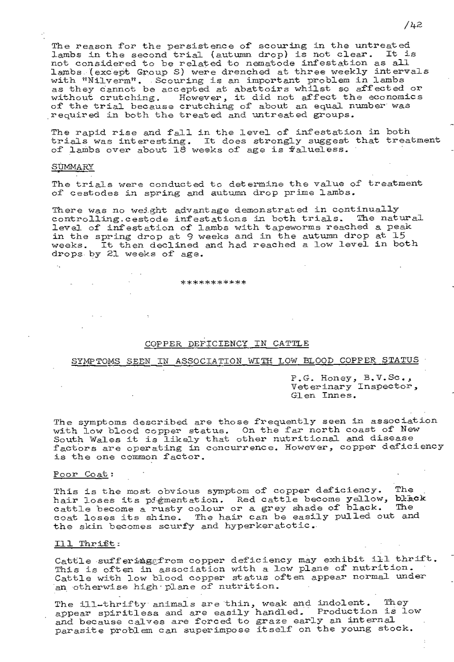 1975 page 42